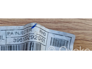 Топливная рампа 3961002920-01   Hyundai i10  