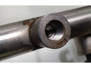 Жиклер (жиклеры) (форсунка (форсунки) 0261500073 Peugeot RCZ