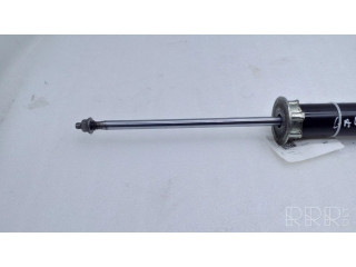 Задний aмортизатор