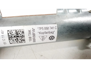 Надувная подушка для крыши