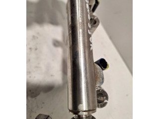 Vstřikovač 166000786R Renault Austral