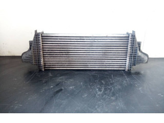 Интеркулер A2515000000004, P2-A11-6 Mercedes-Benz R W251