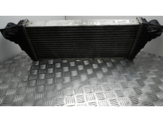 Интеркулер  A1645001900, VD10812   Mercedes-Benz ML W164 