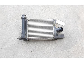 Интеркулер     Dacia Dokker 