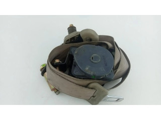 Задний ремень безопасности