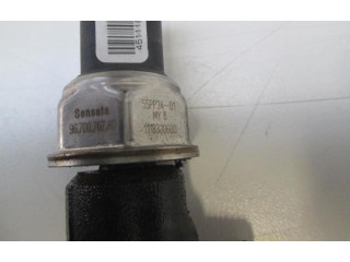 Vstřikovací lišta Citroen C3