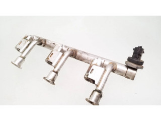 Топливная рампа 0261555137, Dm5g9h487aa   Ford Ecosport 1.0 