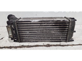 Интеркулер     Peugeot Partner 