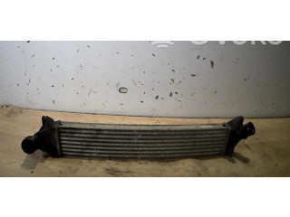 Интеркулер 8200409045, 8200409045 Dacia Logan I