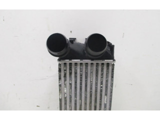 Vstřikovací lišta 818226 Citroen Berlingo