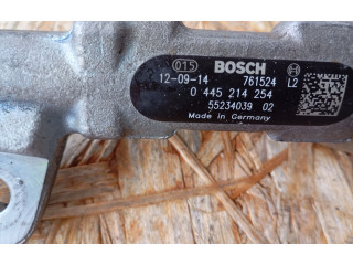 Топливная рампа 0445214254, 55234039   Fiat Freemont  