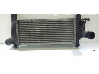 Интеркулер 14461EB360 Nissan Pathfinder R51