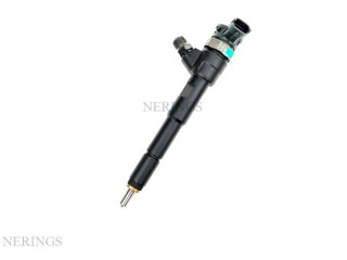 Жиклер (жиклеры) (форсунка (форсунки) 0445110652, 0445110652   Dacia Duster    