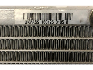 Комплект радиатора 1601250185B, 1601250092A   Renault  Clio III  2005 - 2012 года