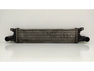 Интеркулер     Citroen Berlingo 1.9