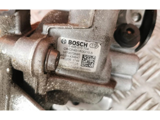 Комплект системы впрыска топлива 0445110485, 167007358R Renault Clio IV