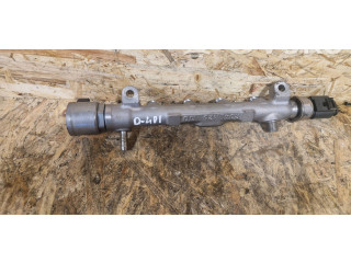 Топливная рампа 04L089G, 0496031   Volkswagen PASSAT B8  