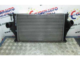 Интеркулер     Citroen Berlingo 