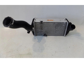 Интеркулер 28270-2A320 KIA Rio