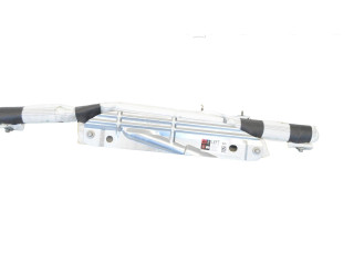 Надувная подушка для крыши 103675700H Tesla Model X L2S