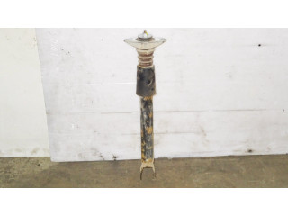 Задний aмортизатор      