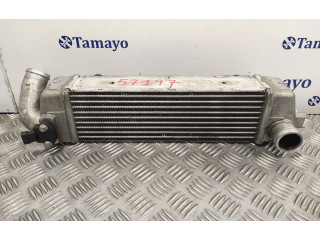 Радиатор интеркулера 279714600102 Tata Indigo I