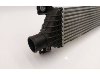 Интеркулер  A511E00312   Borgward BX5 