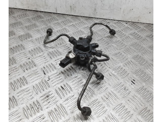 Топливная рампа Ford Transit - Tourneo Connect для двигателя R2PA