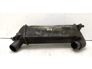 Интеркулер Lancia Kappa