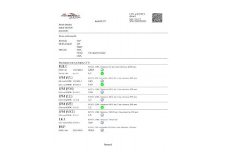Vstřikovač 0445110256, 0445110256 Hyundai i30