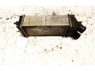 Интеркулер Citroen Berlingo