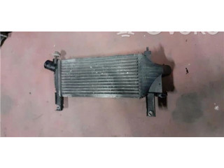 Интеркулер Nissan Pathfinder R51