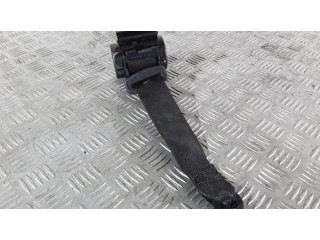 Задний ремень безопасности