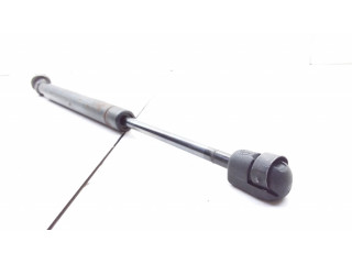 Задний амортизатор      