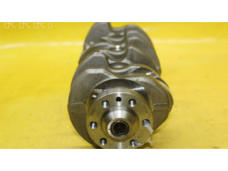 Kliková hřídel 038D Volkswagen PASSAT B6 pro naftový motor 2.0