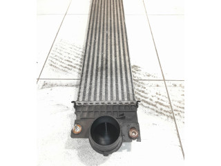 Интеркулер E1G36K775JA Ford S-MAX