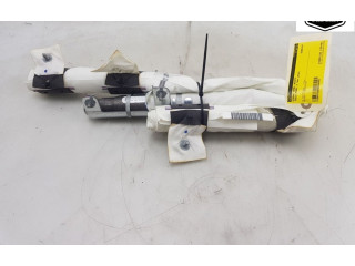 Надувная подушка для крыши 103675900H, 103675900H Tesla Model X A0003K8775D