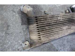 Интеркулер  MR404751, 1271001270   Mitsubishi Montero 