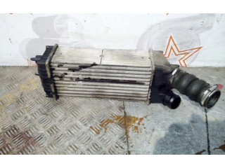 Интеркулер     Peugeot Partner 