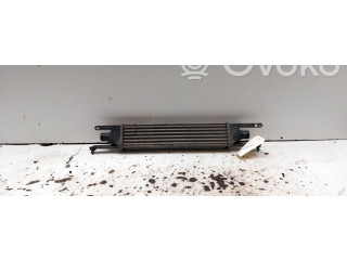 Интеркулер 55702237 Fiat Grande Punto