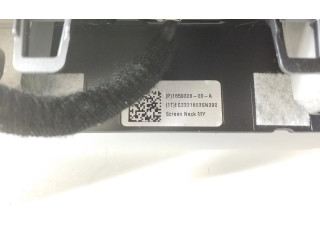 Дисплей 165932800A Tesla Model Y