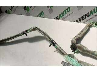 Надувная подушка для крыши SV25-05-19, 39 Jaguar XF X250