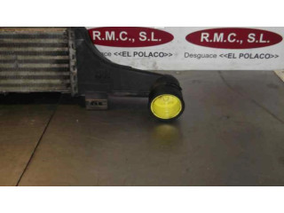 Интеркулер  2105000400   Mercedes-Benz E W210 