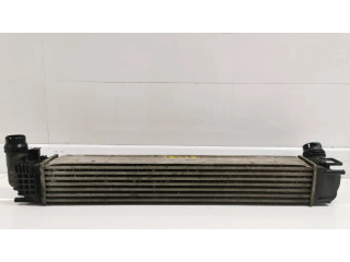 Интеркулер 8200880552B Dacia Dokker 1.6