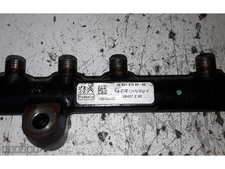 Топливная рампа 9685297580 Volvo V50