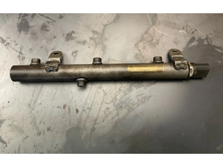 Vstřikovací lišta A6420700695, 0535500446 Mercedes-Benz R W251