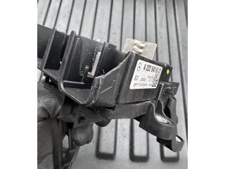 Pojistková skříňka A2225406028, P00132030 Mercede-Benz S W222 2017