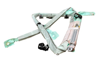 Боковая подушка безопасности 8V5880742C, 34118444D   Audi A3 S3 8V