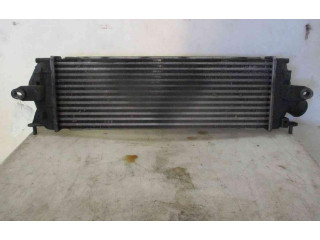 Интеркулер 8200411160, 8200411160 Renault Trafic II (X83)