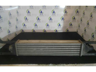 Интеркулер  866452000   Fiat Punto (199) 